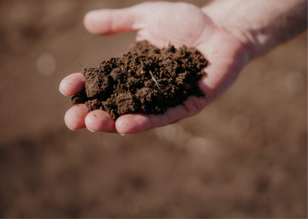 hand with soil